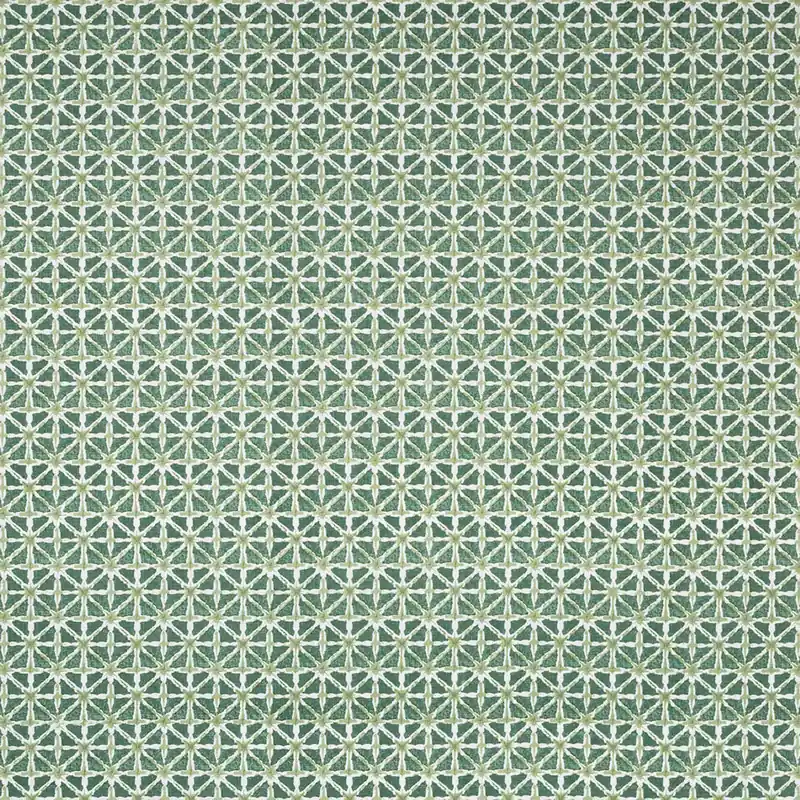 Aloe Printed Fabric - Kravet