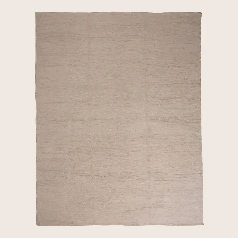 Beige Modern Wool Rug - 10'11" x 13'9"