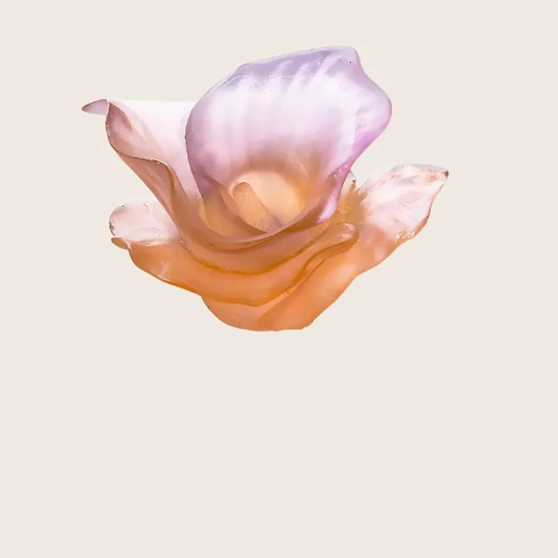 Arum Rose Decorative Flower - Daum
