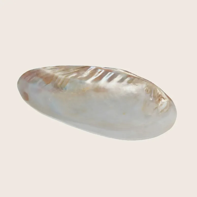 Seashell Footed Dish - Be Home