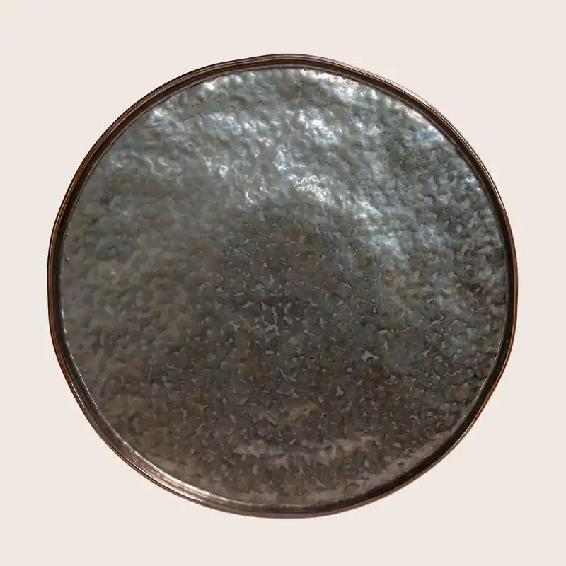 Lagoa Charger Plate - Casafina (Drop Ship)