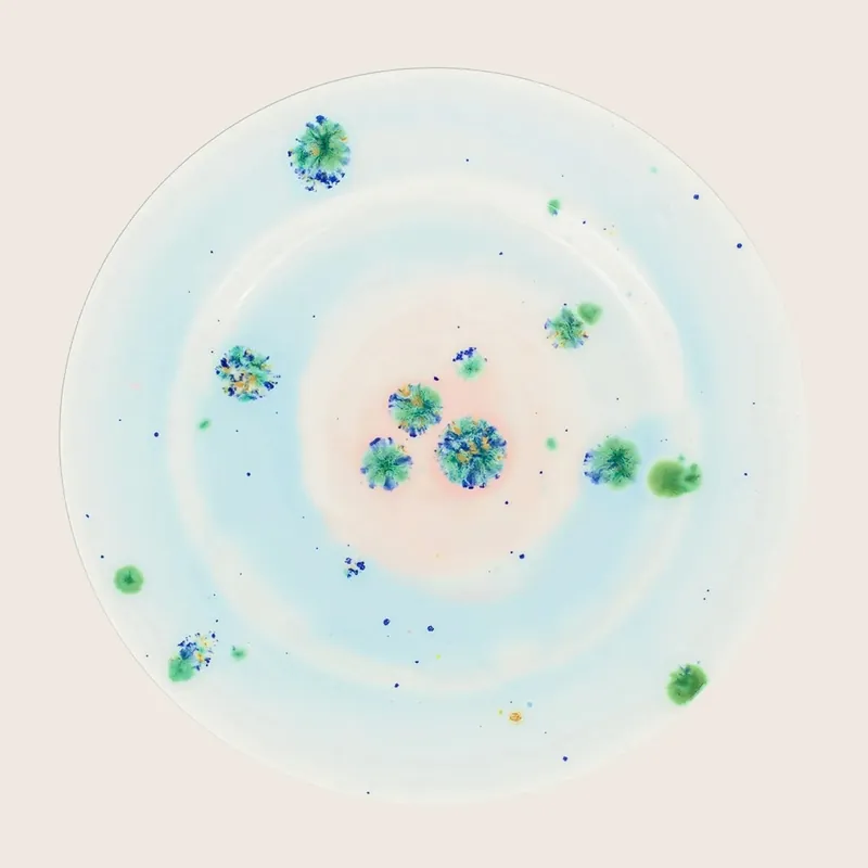 Winter Dinner Rim Plate Blue - Coralla Maiuri