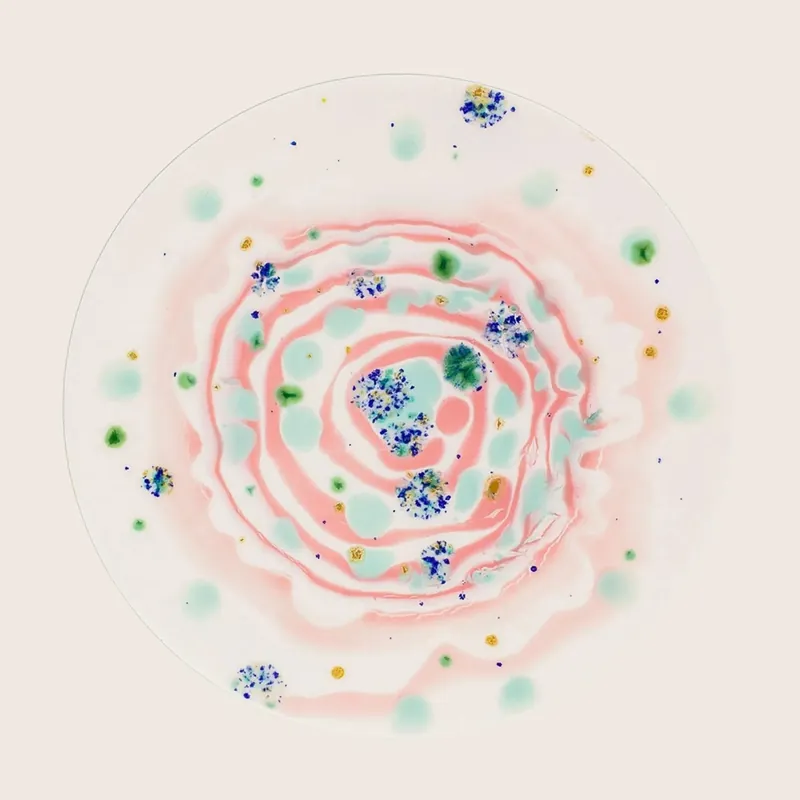 Winter Dessert Rim Plate - Coralla Maiuri