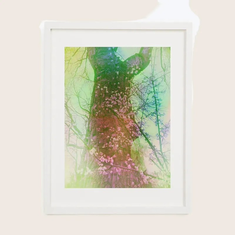 Hummingbird Framed - Danielle Winter (Consigned)