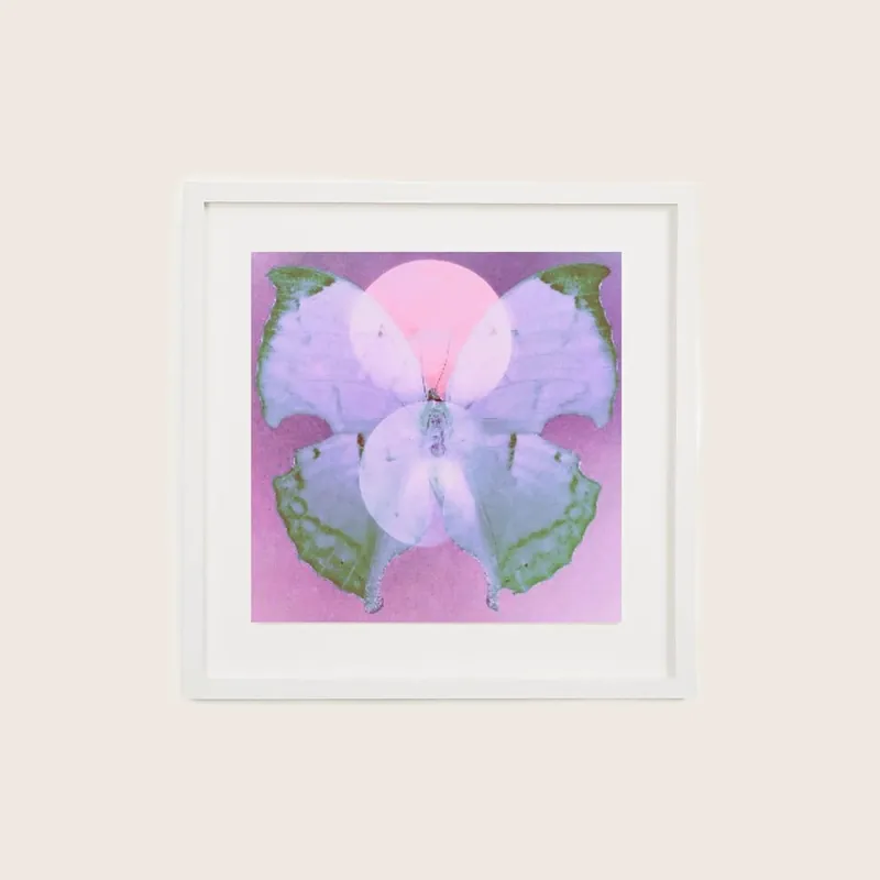 Pink Moon Butterfly Framed - Danielle Winter (Consigned)