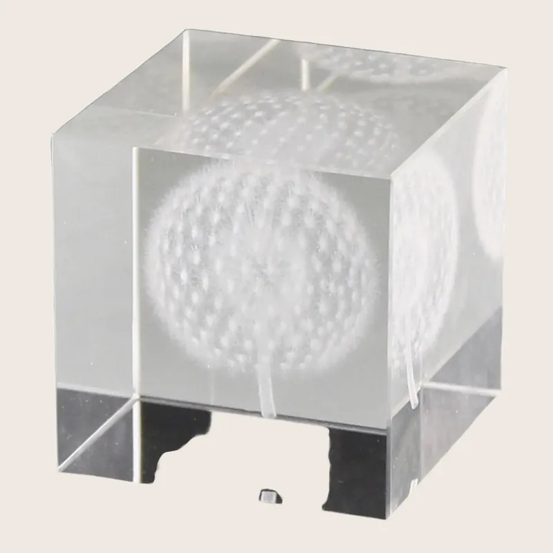Dandelion Glass Hologram - Homart