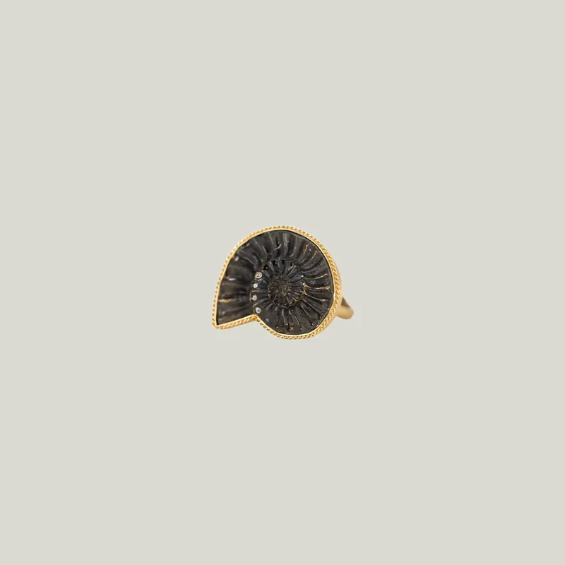 Small Pyritized Ammonite Negative 18k One-of-a-Kind Ring
