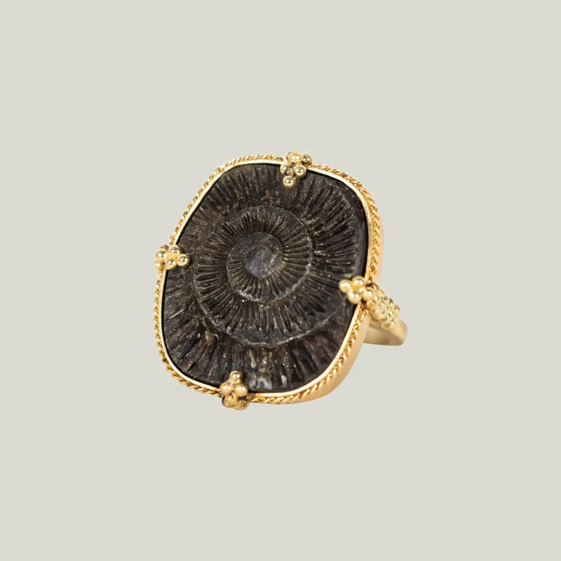 Large Pyritized Ammonite Negative 18k One-of-a-Kind Ring