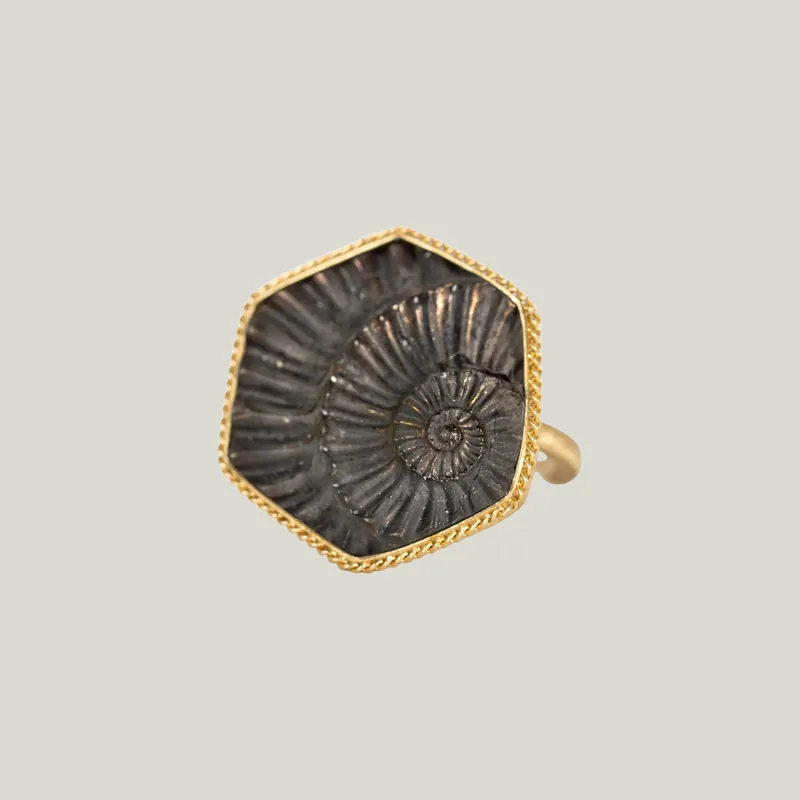 Small Pyritized Ammonite Negative 18k One-of-a-Kind Ring