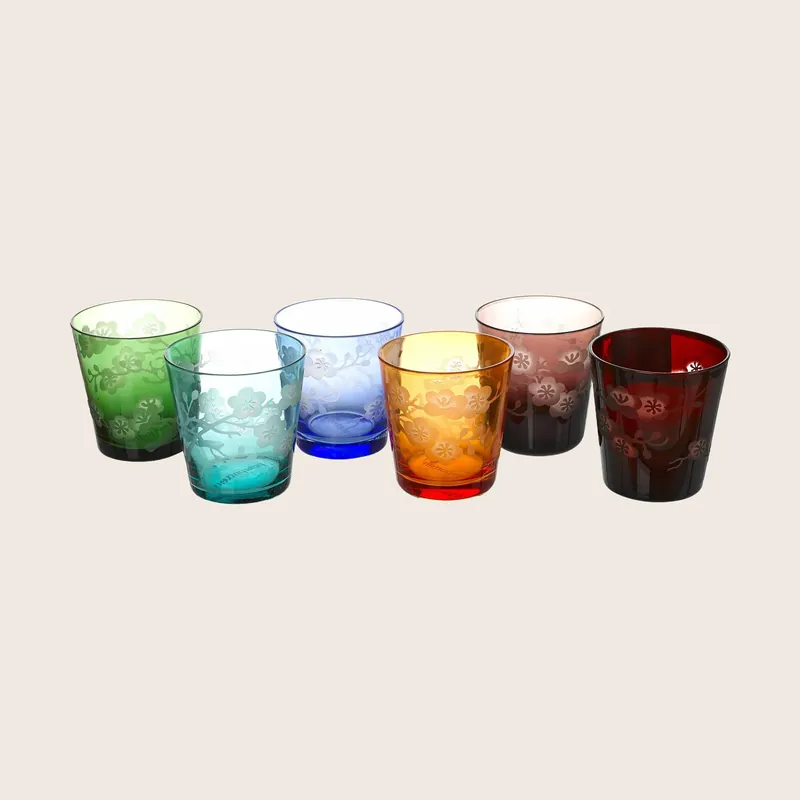 Blossom Multicolor Tumbler Glasses, Set of 6 - POLSPOTTEN
