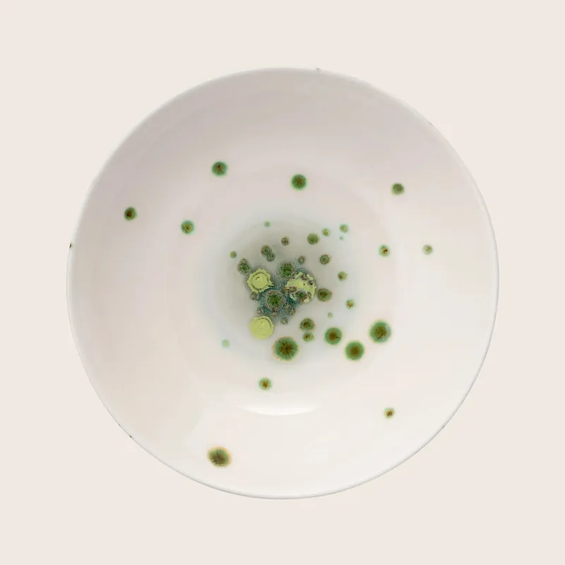 Autumn Soup Coupe Plate - Coralla Maiuri