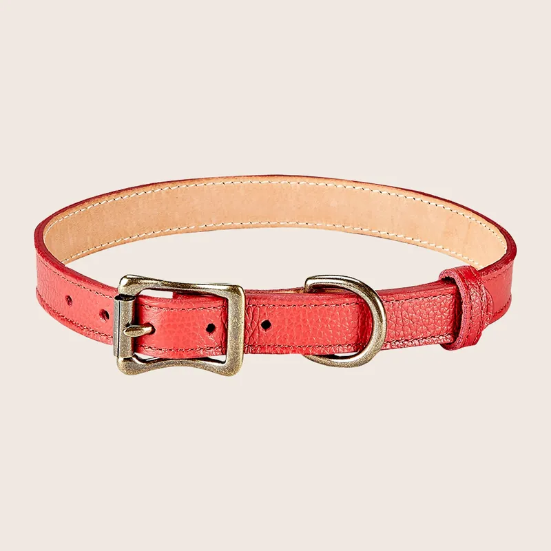 Medium Leather Dog Collar - Graphic Image