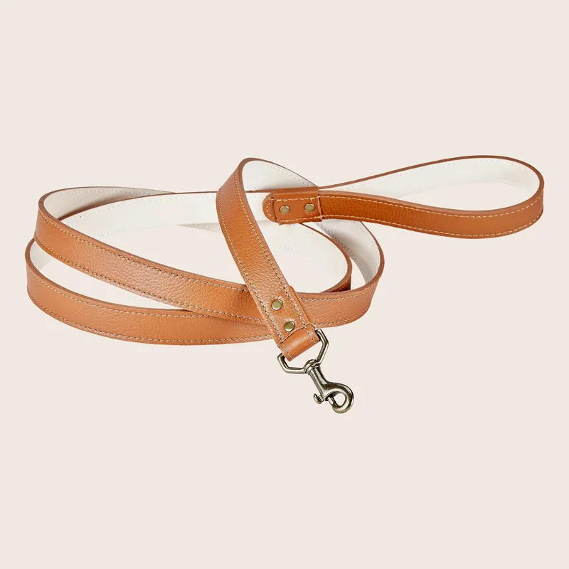 4" Leather Dog Leash - Graphic Image