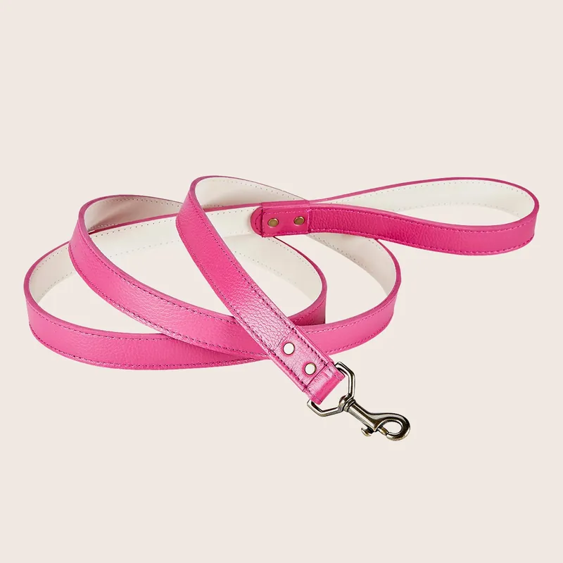 6" Leather Dog Leash - Graphic Image