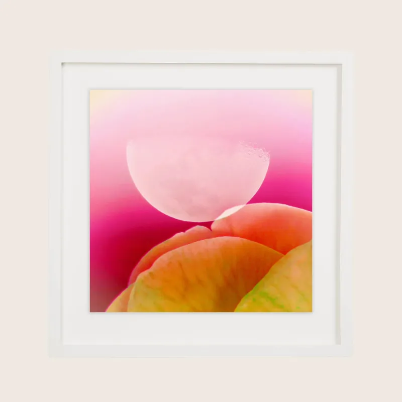 Venus Kisses the Moon, Framed Giclee Print - Danielle Winter (Consigned)