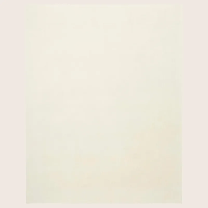 Solid Plush Cashmere Wool Blend Rug - 7'9" X 9'9"