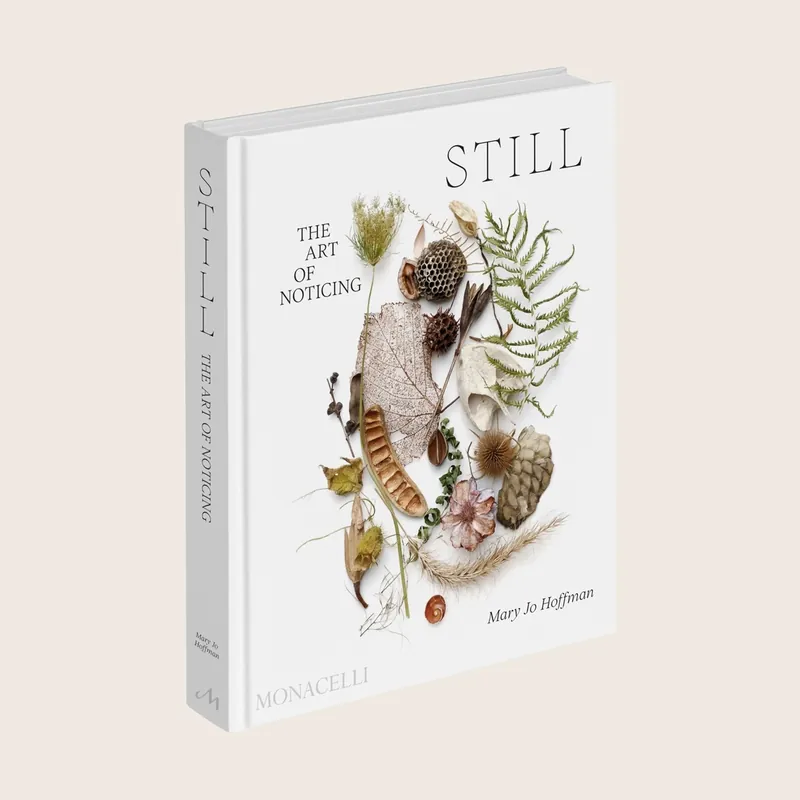 Still - Phaidon (Consigned)