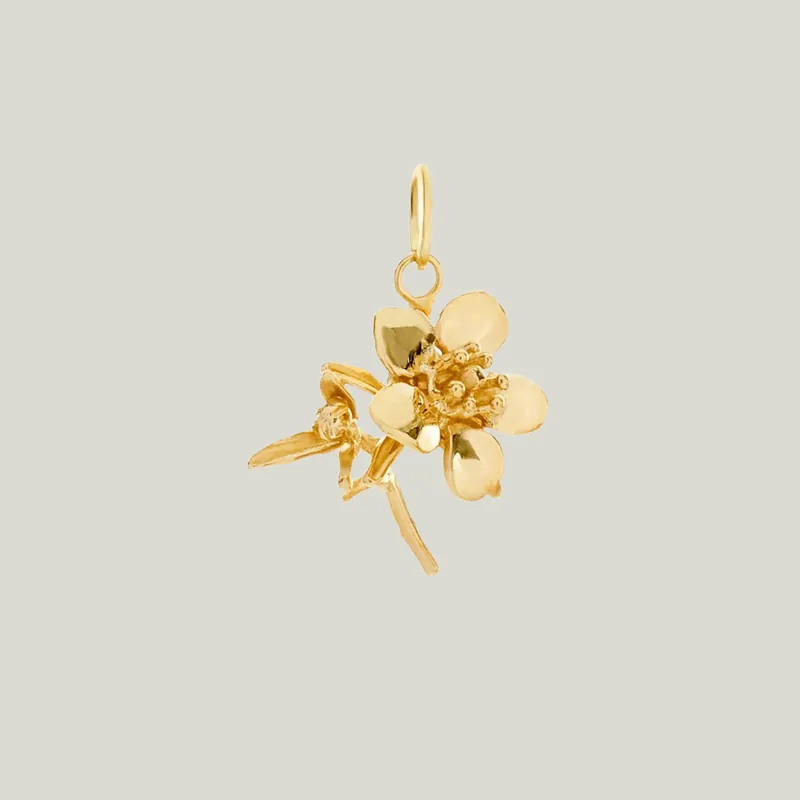 Auckland Mānuka Charm: City of Sea and Spirit - Allison Alane (Dropship)