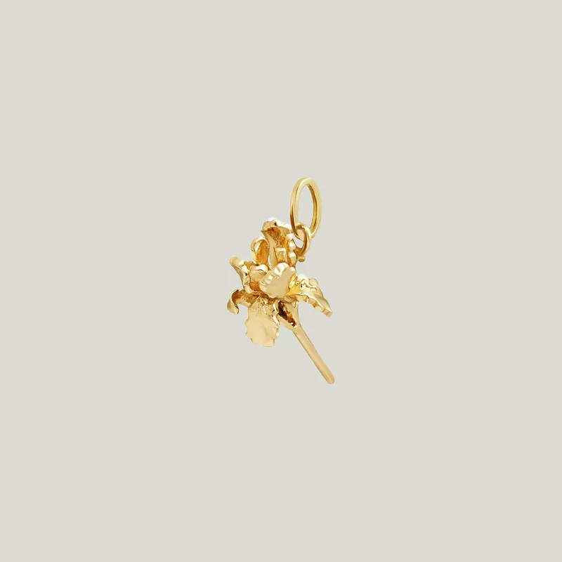 Paris Iris Charm: City of Light and Love - Allison Alane (Dropship)