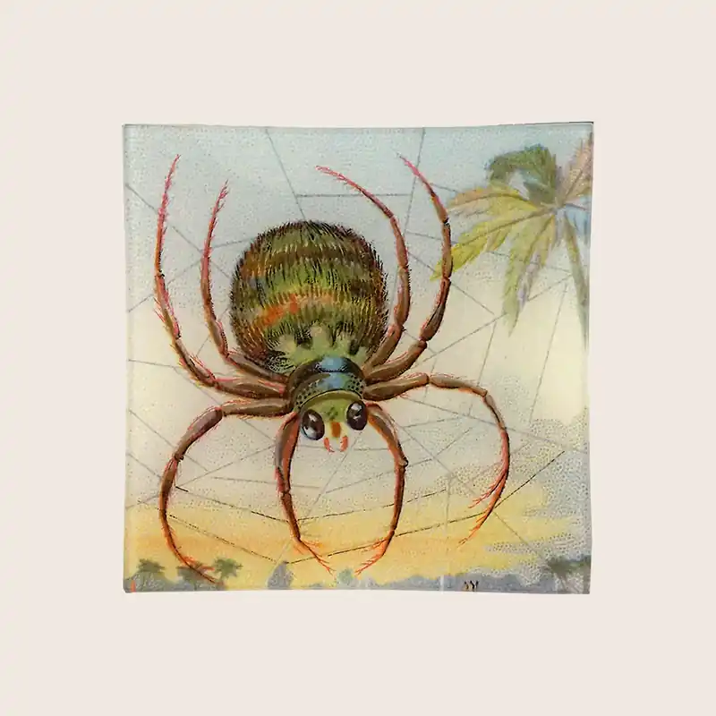 Big Spider Web Un Vide Poche - John Derian