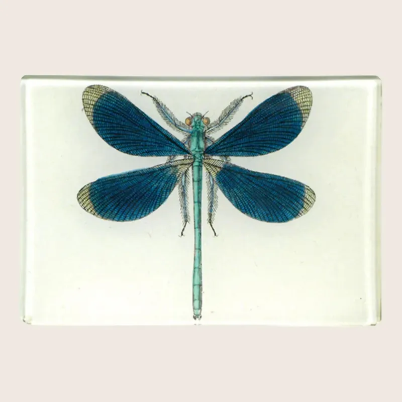 Dragonfly Pin-Up Tiny Rectangle Tray