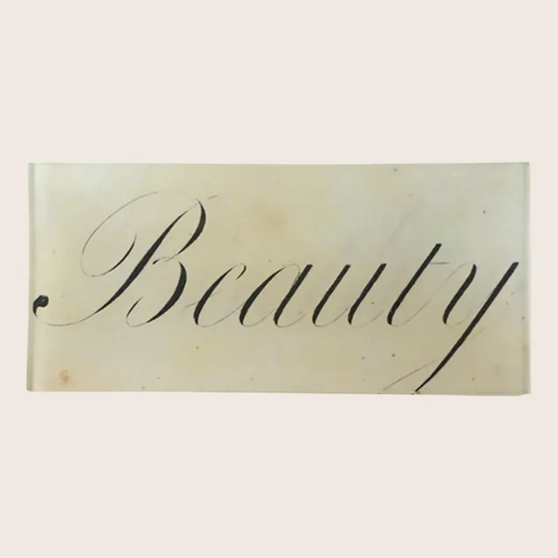 Beauty Rectangle Tray - John Derian