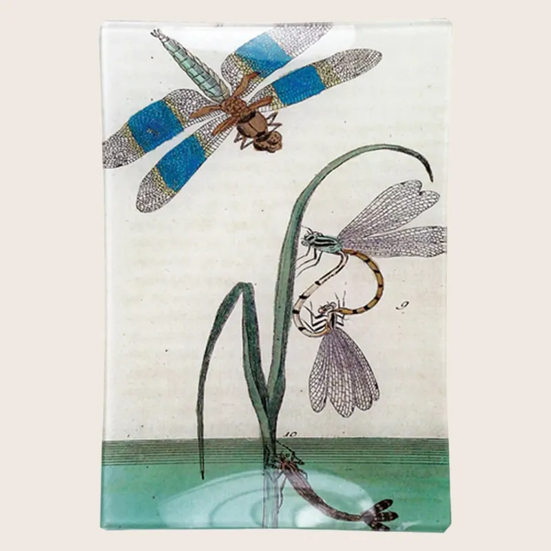 Dragonfly Over Water Mini-Tray