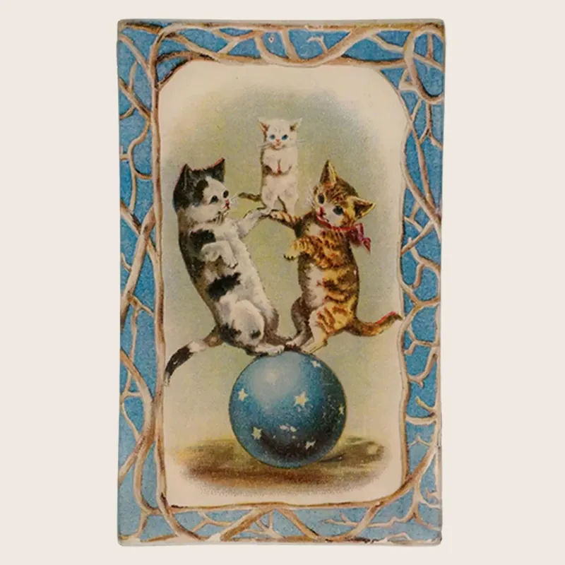 Amazing Cats Rectangle Tray - John Derian