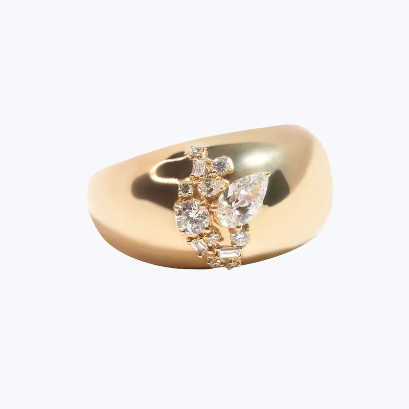 Trellis Dome Ring - Dorian Webb (Dropship)