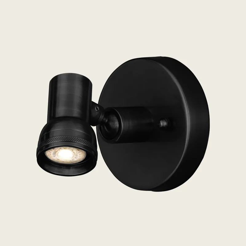 Patterson Picture Light - Currey & Company