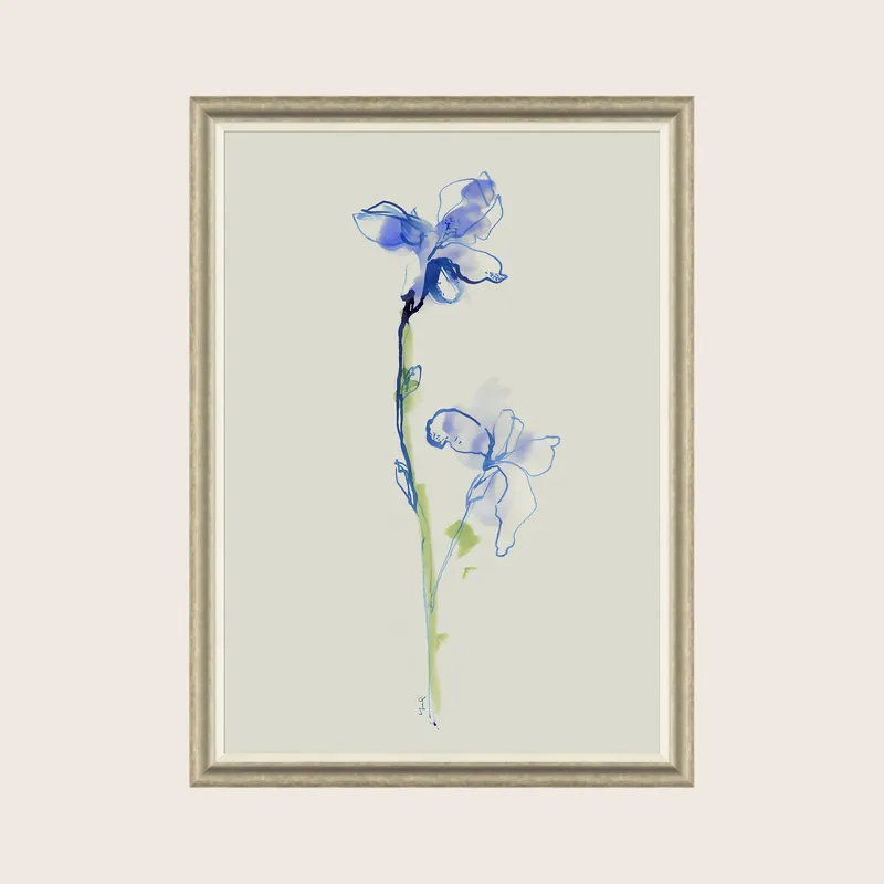 Iris Cuttings - Soicher Marin