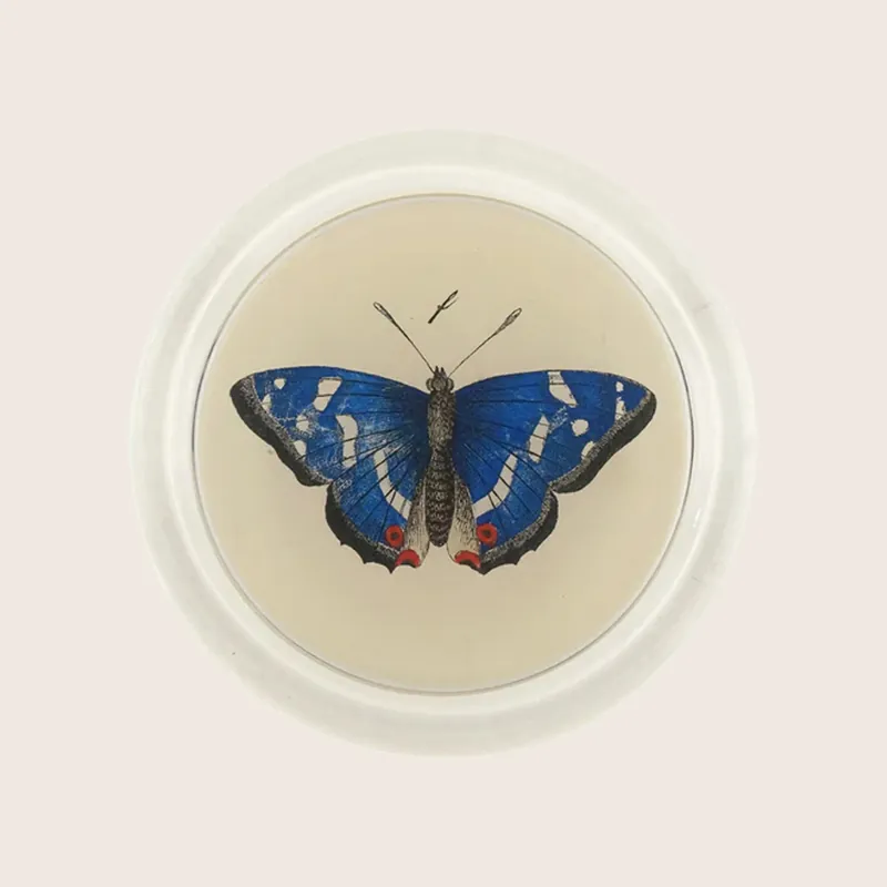 Deep Blue Butterfly Coaster - John Derian
