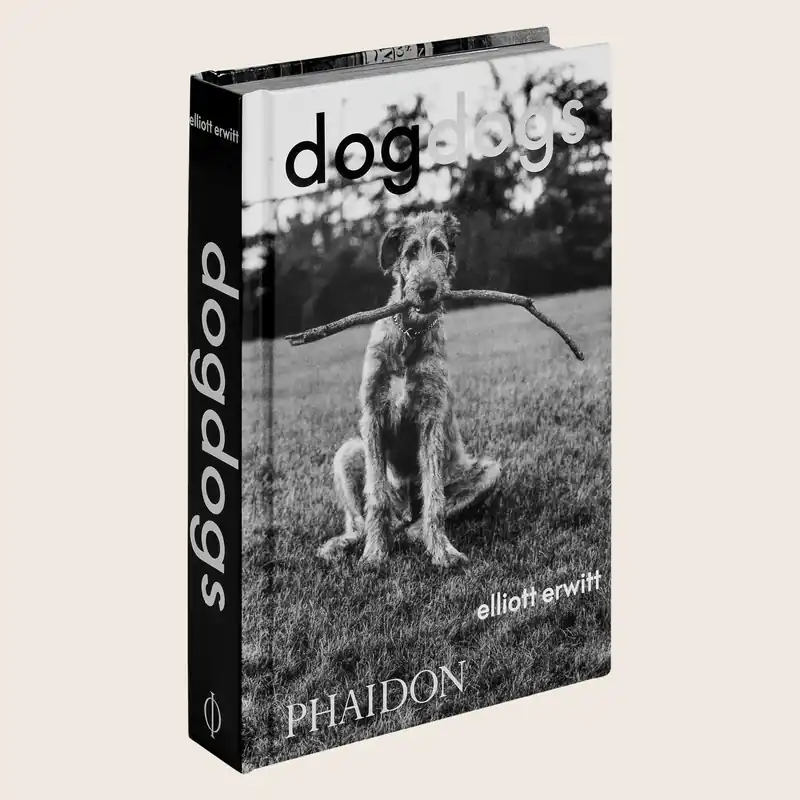 DogDogs - Phaidon (Consigned)