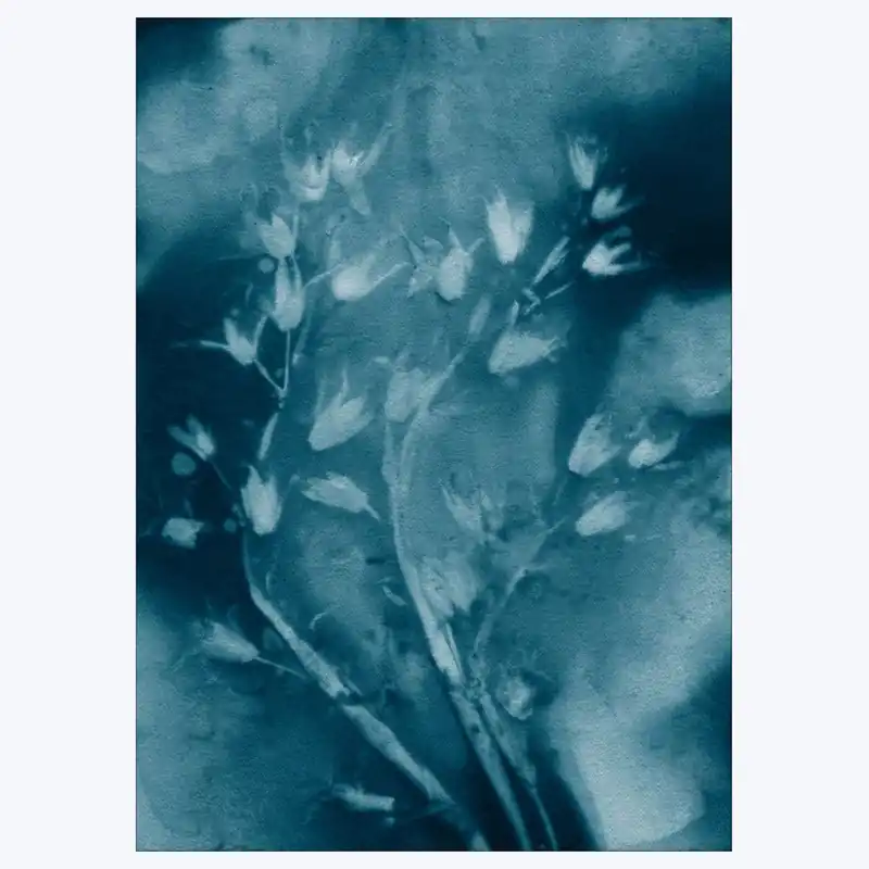Pernille Folcarelli - Dropping Star Blue