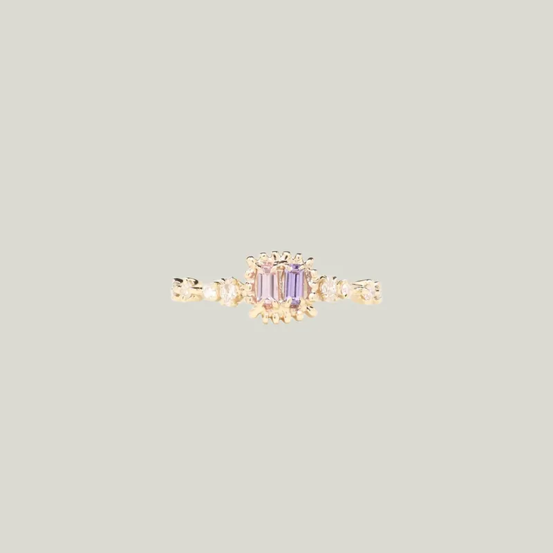 Hwa-Hong Ring