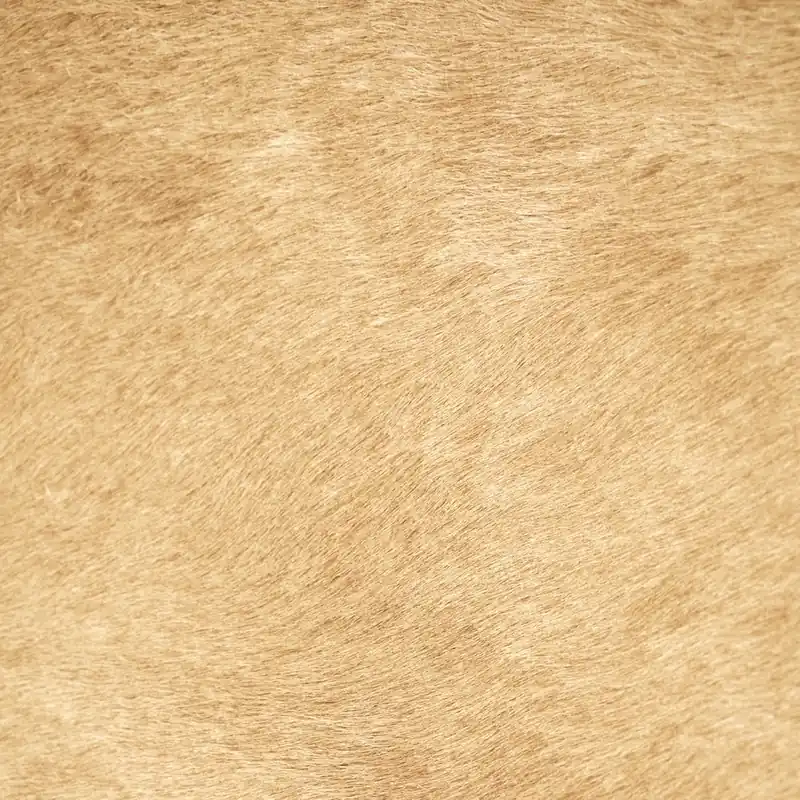 CAMEL HIDE SWATCH - Dimo Home