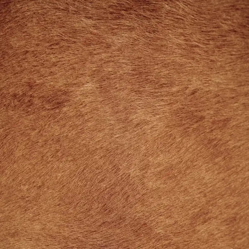 WHISKEY HIDE SWATCH - Dimo Home