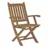 Marina Outdoor Patio Teak Folding Chair in Natural - New