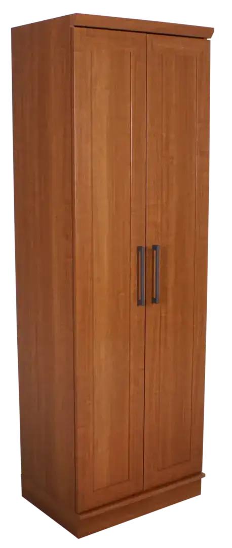 Sauder HomePlus Storage Cabinet in Sienna Oak