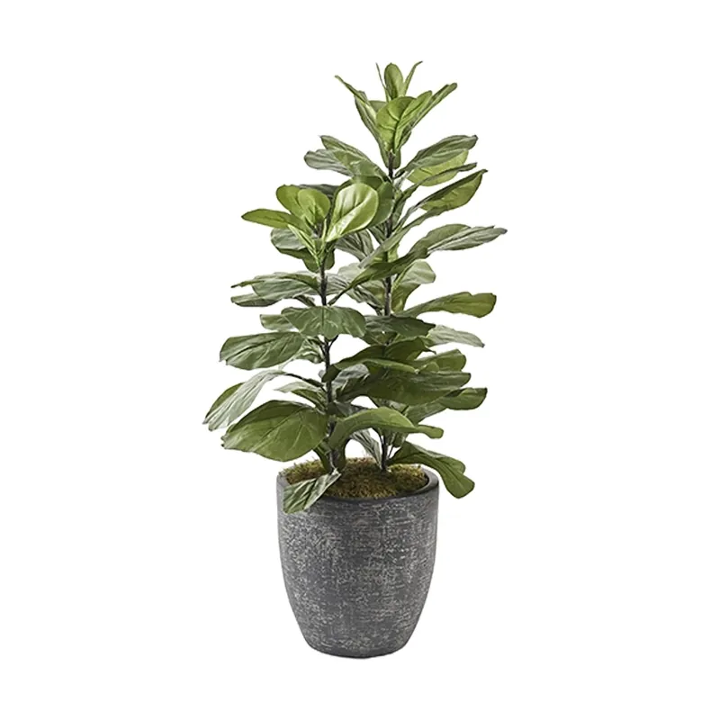 D&W Silks 46-Inch Fiddle Leaf Fig in Hudson Planter