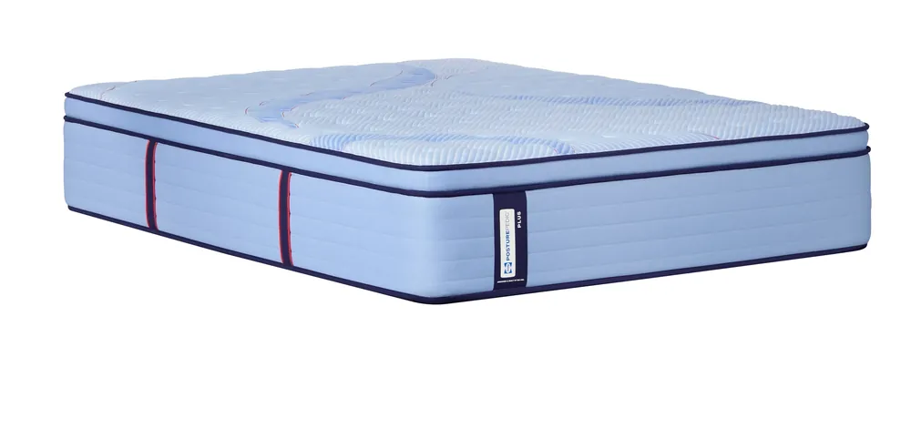 Sealy Paterson Soft Pillow Top Twin Mattress