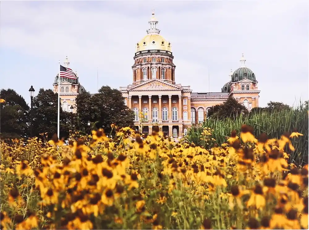 Prestige Art Des Moines Flowers at the Capitol 36 X 48