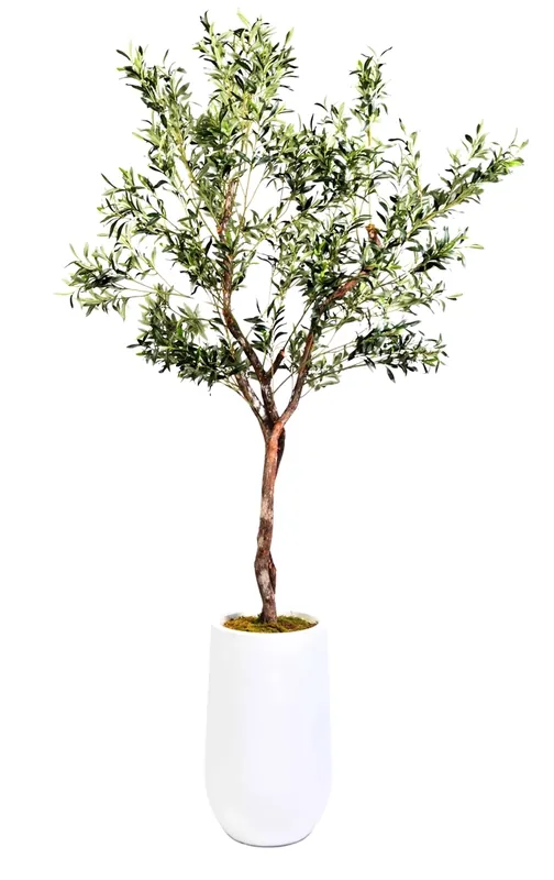 D&W Silks 7-Foot Artificial Olive Tree in White Pot