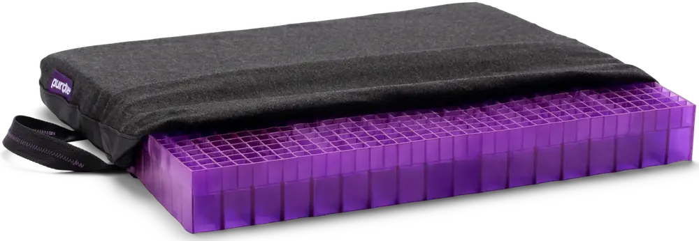 Purple Double Seat Cushion