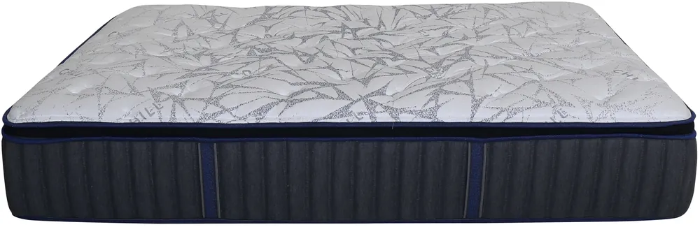 Spring Air Caper Peak Plush Euro Top Twin Mattress