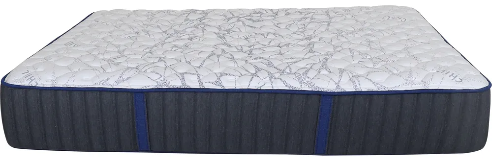 Spring Air Caper Peak Firm Twin XL Mattress