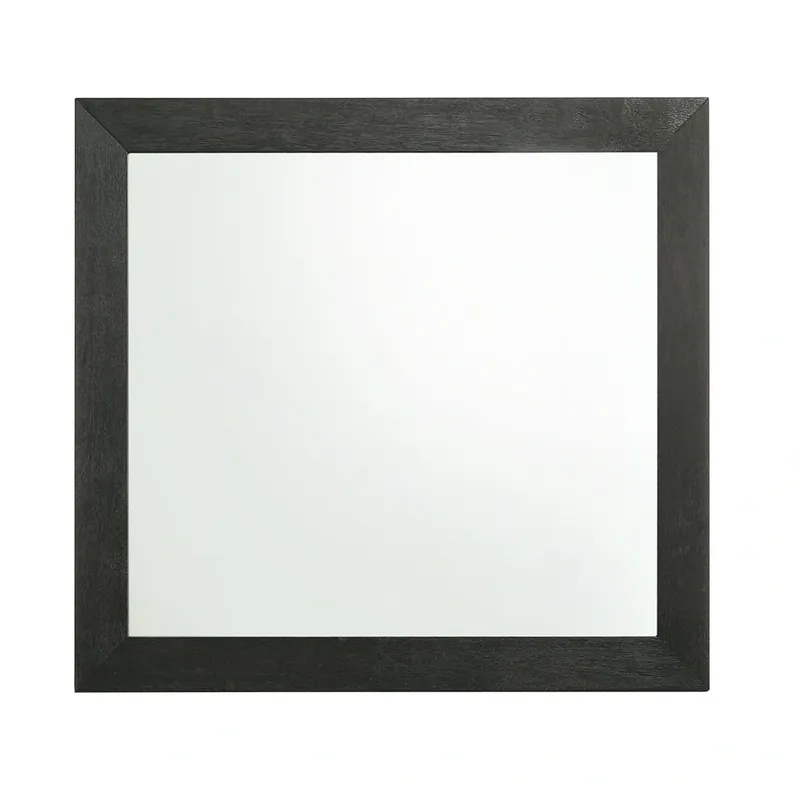 Elements Int'l Allan Black Dresser Mirror