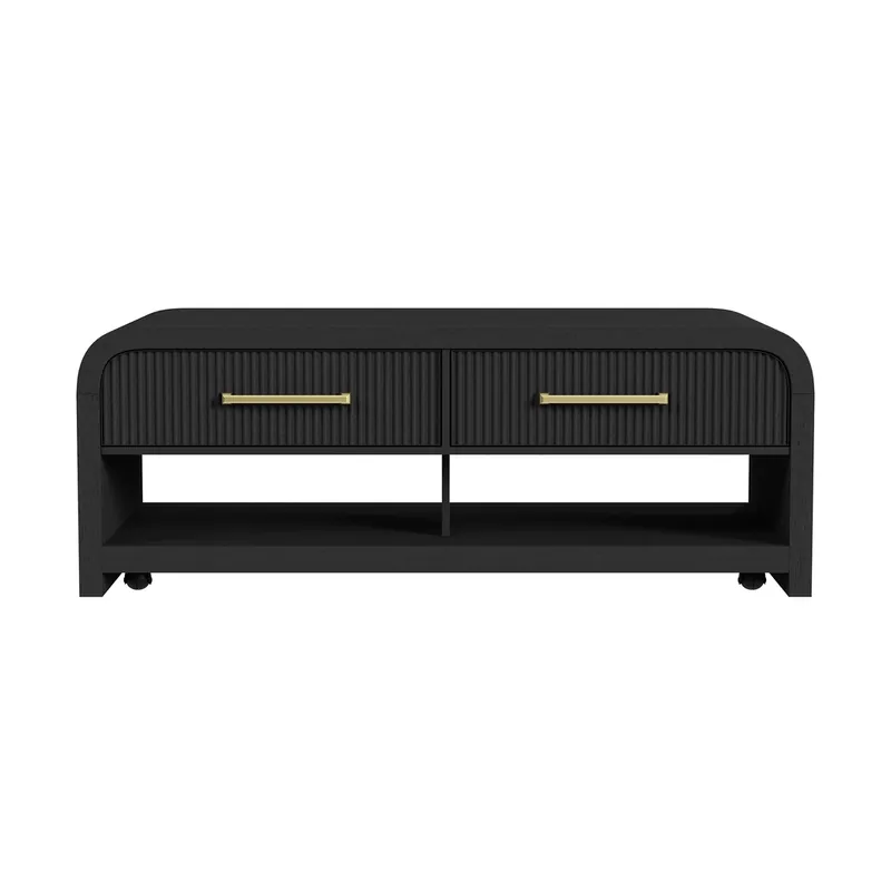 Elements Int'l Ridgemont 2-Drawer Coffee Table with Casters in Black