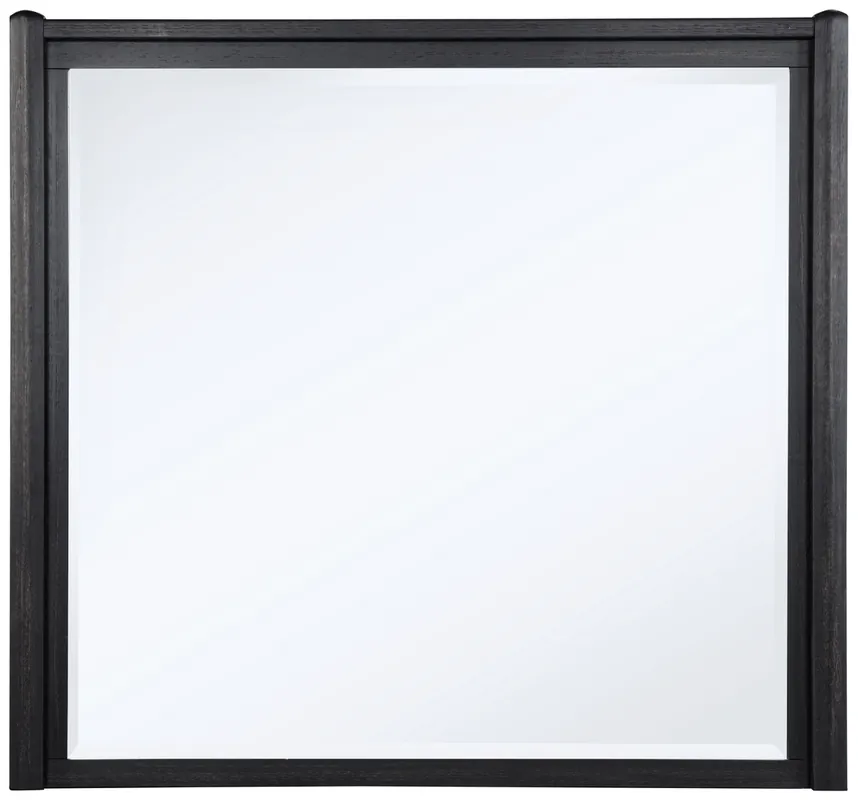 Coaster Leandro Dresser Mirror