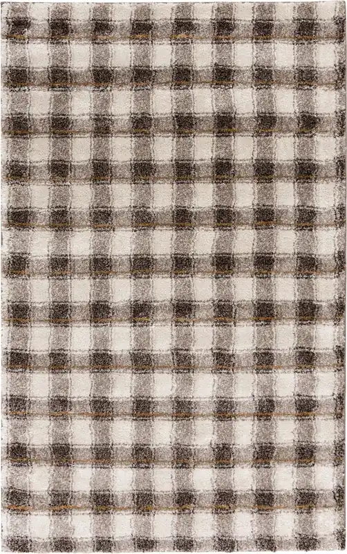 Central Oriental Adley Roscoe Rug in Brown - 5 x 8